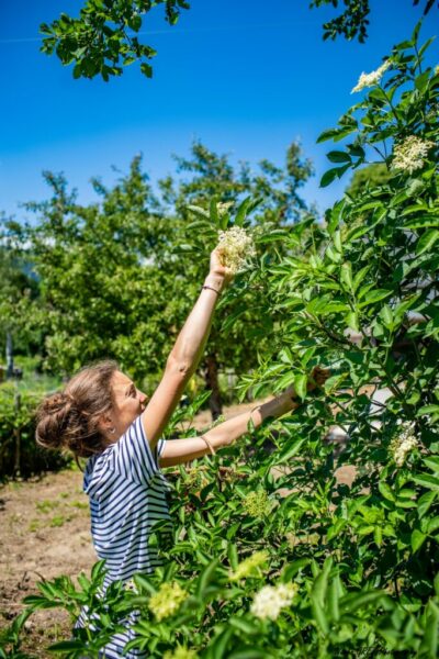 le-verger-des-roux-010 le-verger-des-roux-010