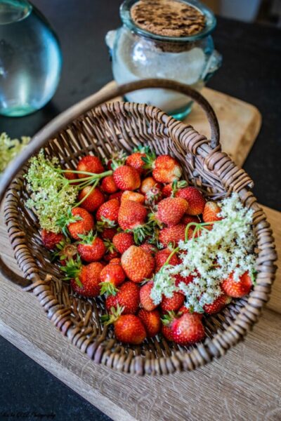 le-verger-des-roux-016